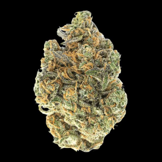 Luana 20/1 Starhaze OG