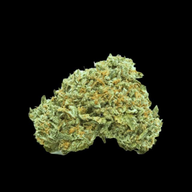 Luana 24/1 APE Sour Ape