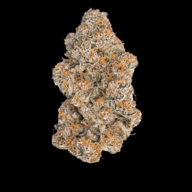 Luana 28/1 Durban Poison