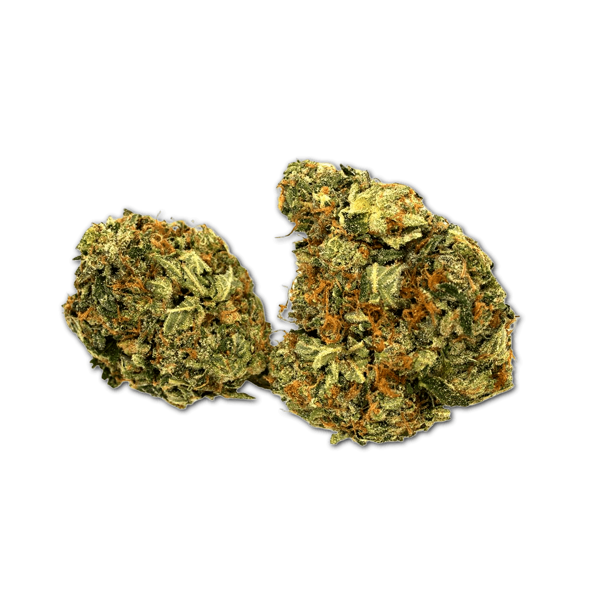 Khiron 20/1 Hindu Kush