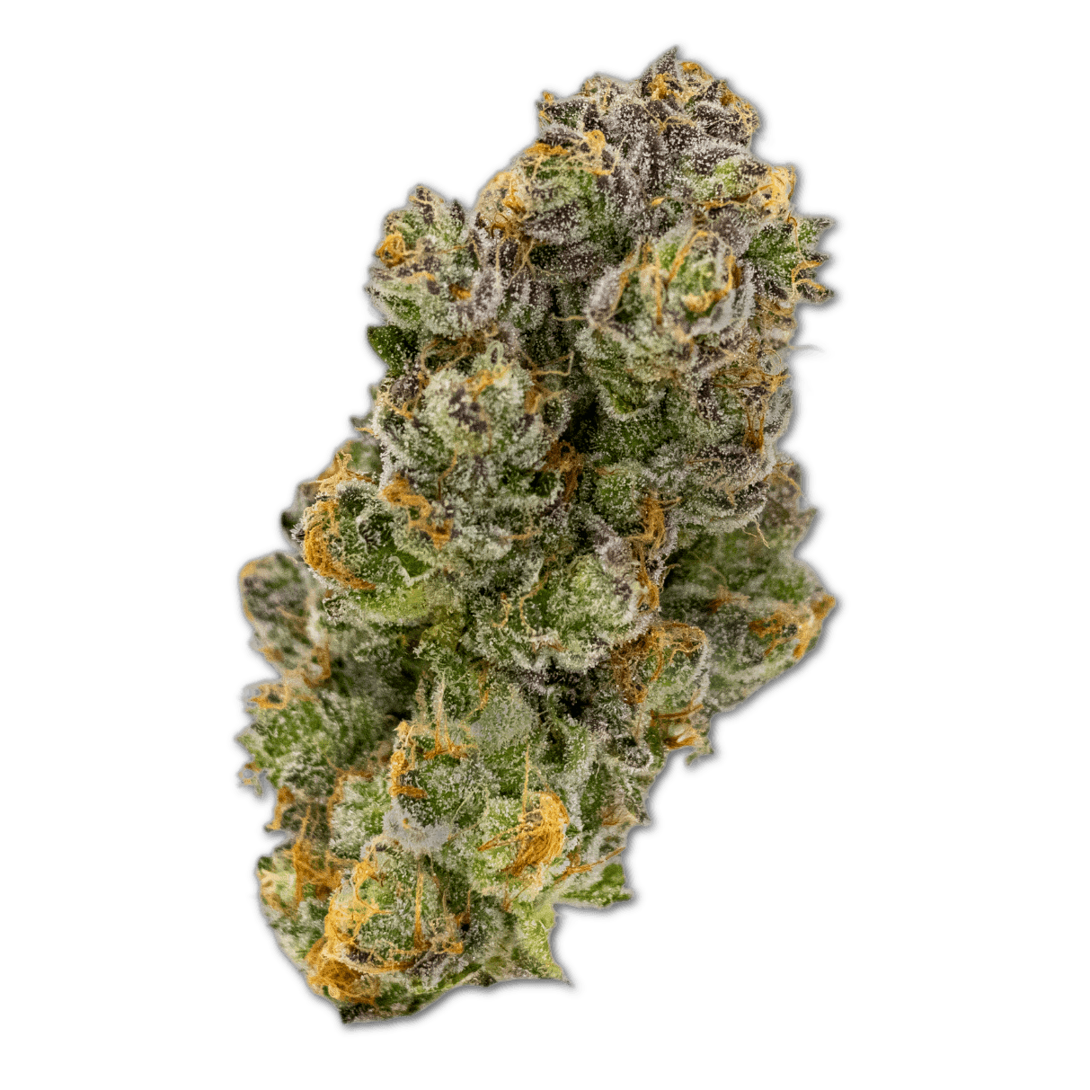 aleph red 30/1 Hokuzai