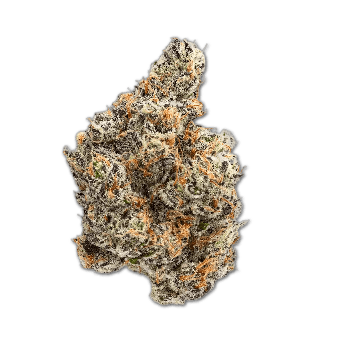 Craft Serenova 31:01 Cap Junky