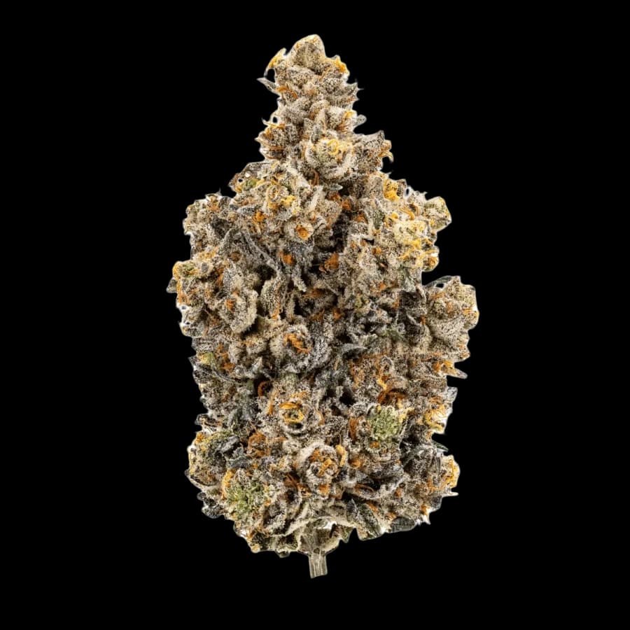 24/1 IUVO OC Rainbow Chip