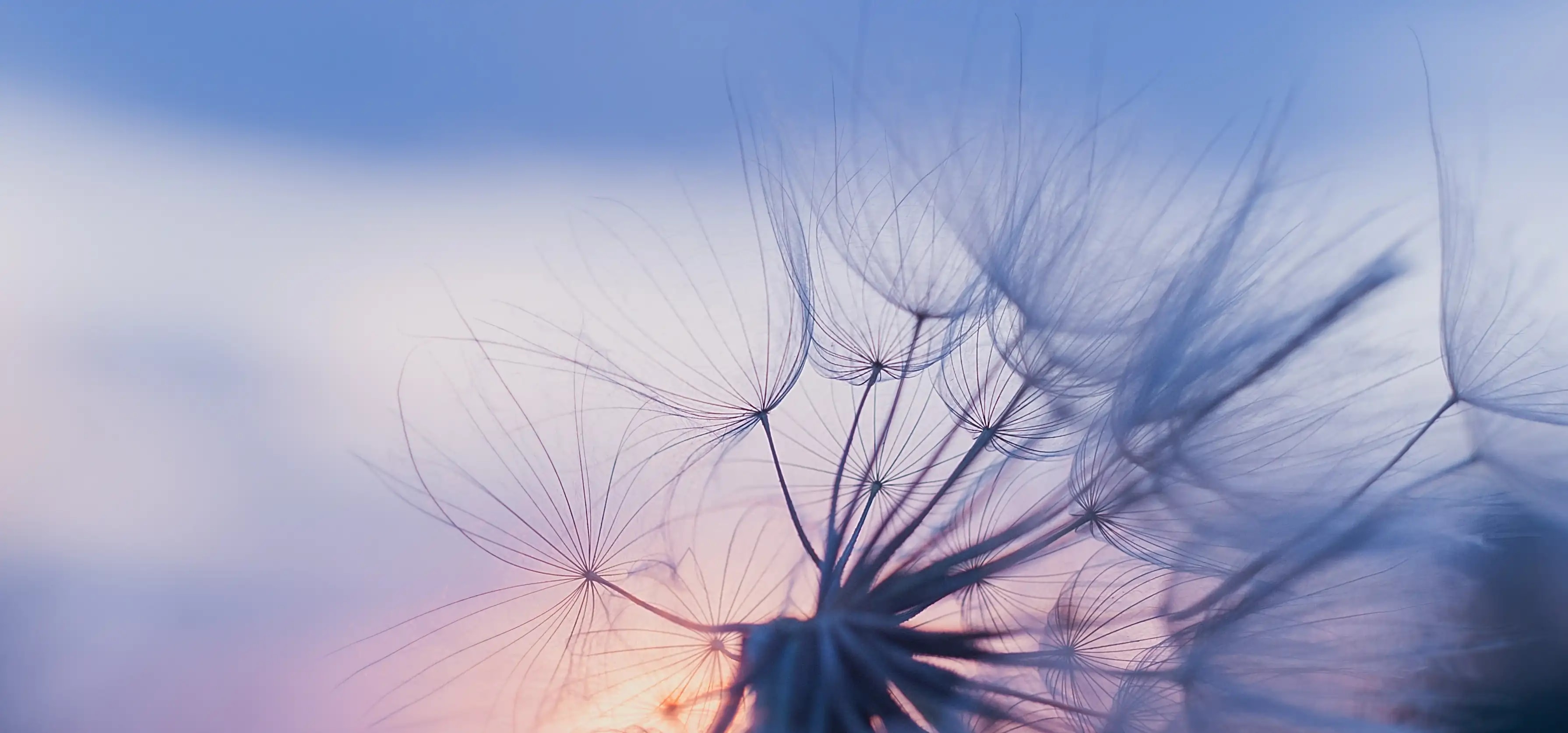 Tourist Prescription Background