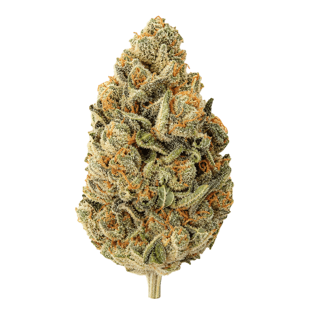 Luana 28/1 MNF Moon Frost