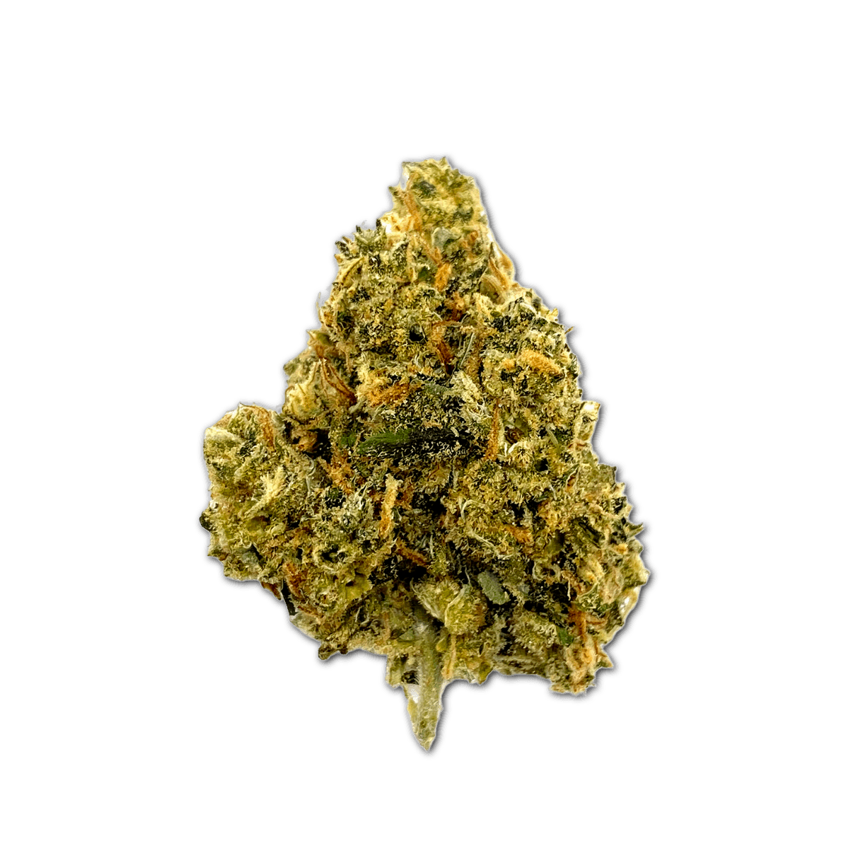 Bedrocan Cannabis Flos 22/1