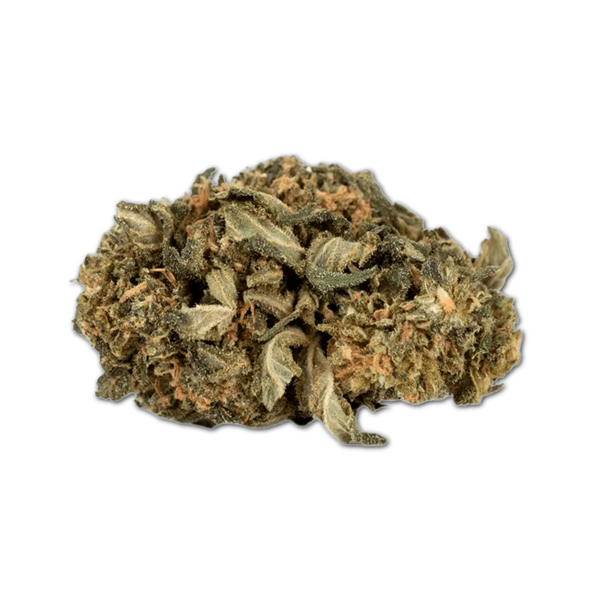 Materia Carbasi Verde 20/1