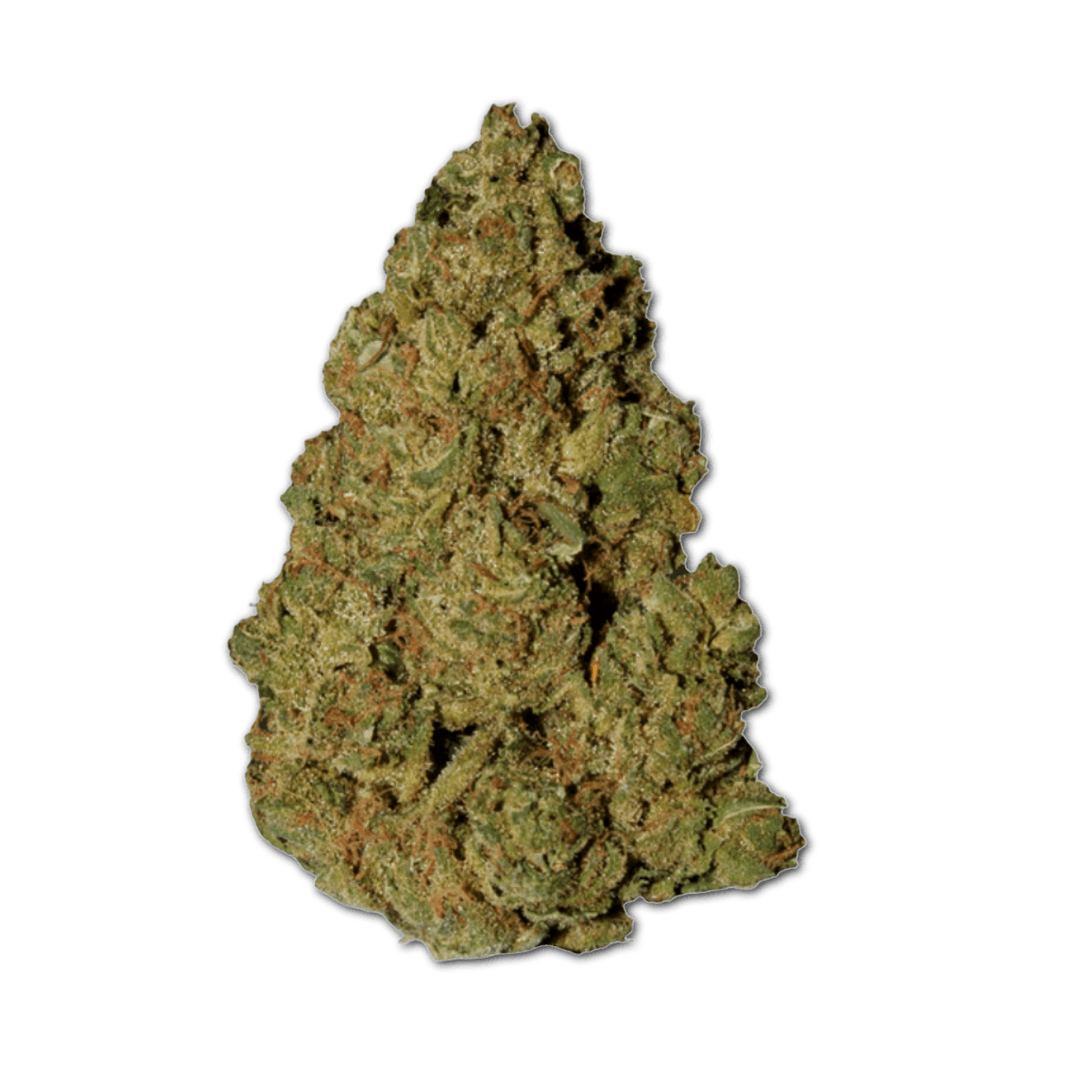 Nedcann AH 22/01 Amnesia #D21