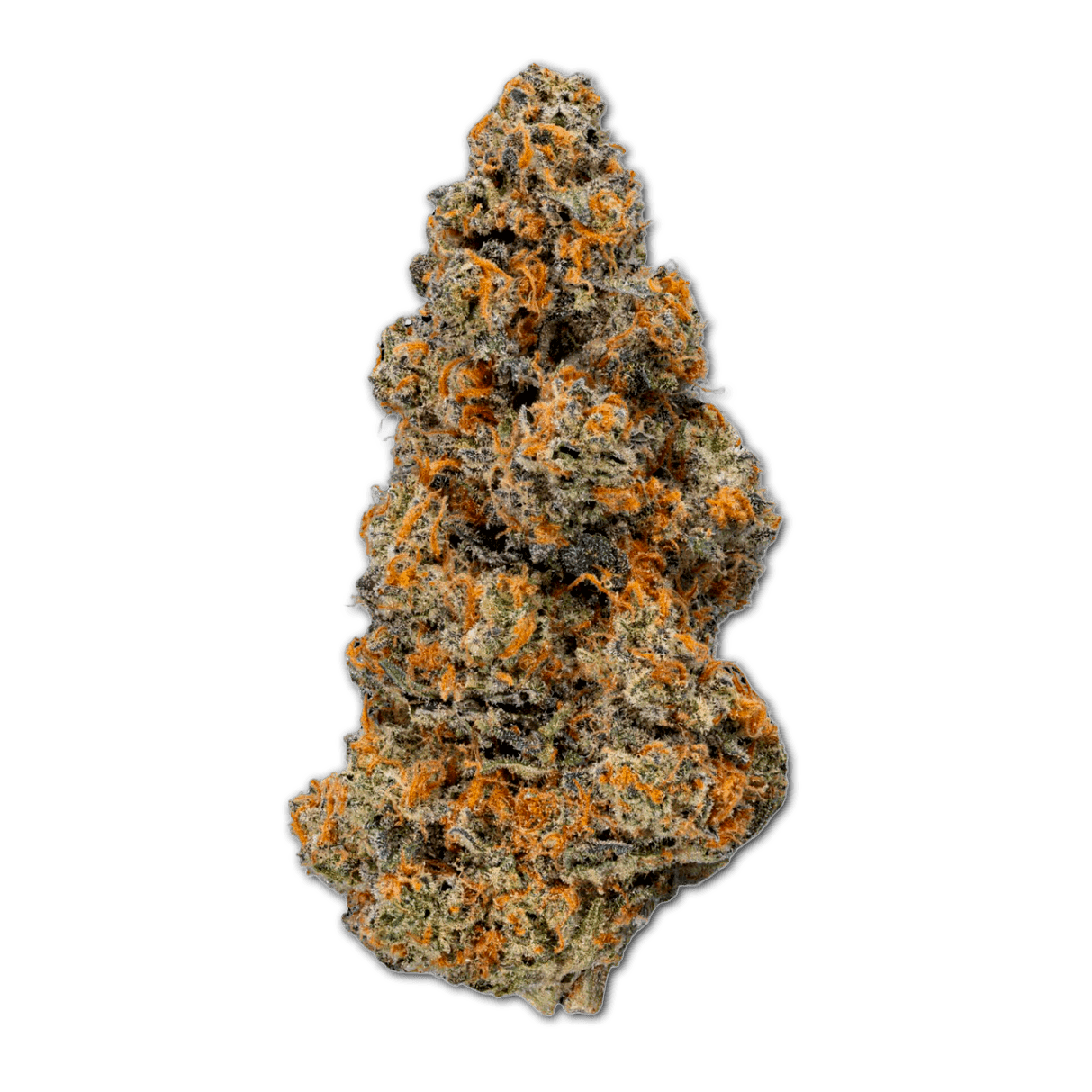 enua 25/1 AFSC CA Animal Face Sherb Crasher