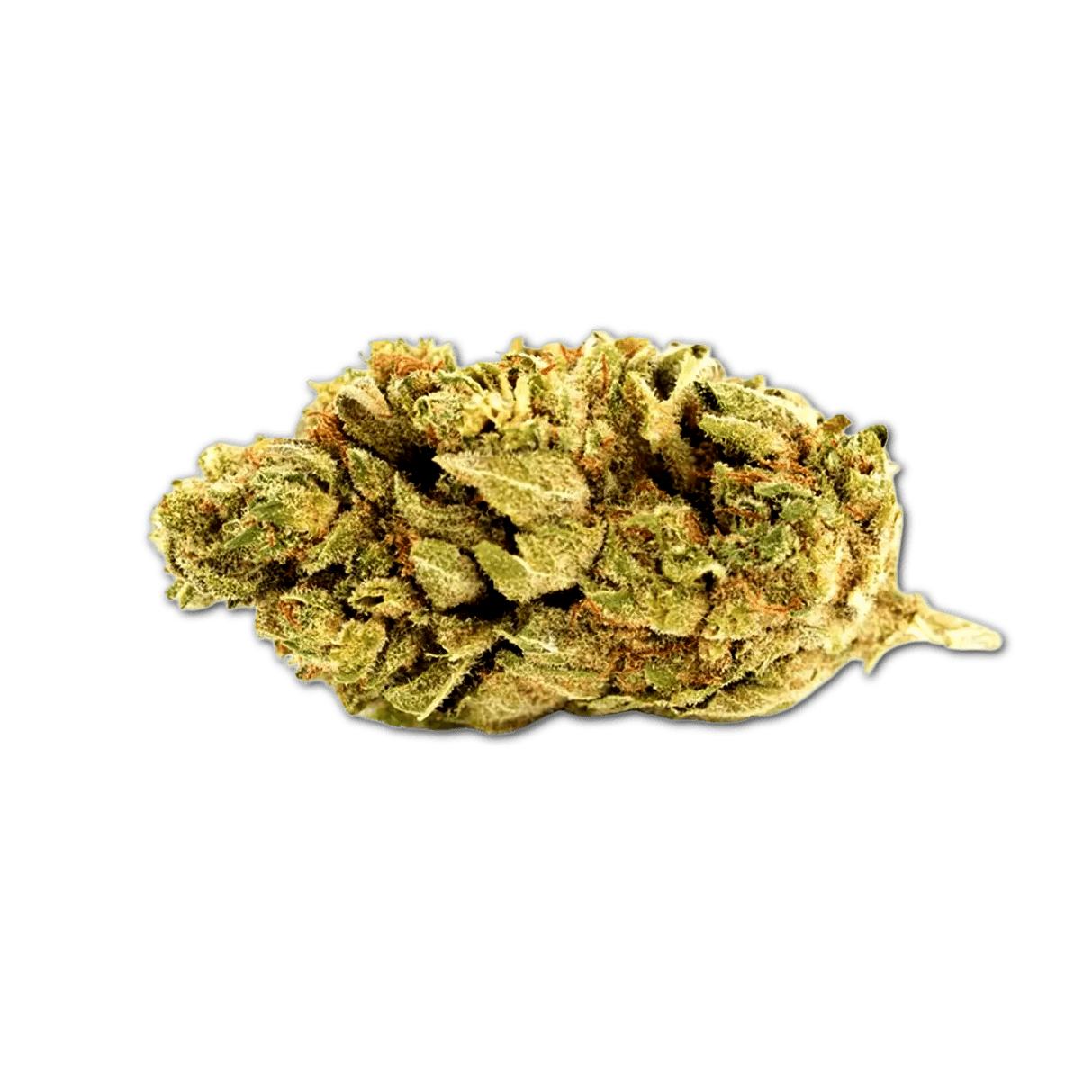 ADREX 24/1 AK COL Arequipe Kush