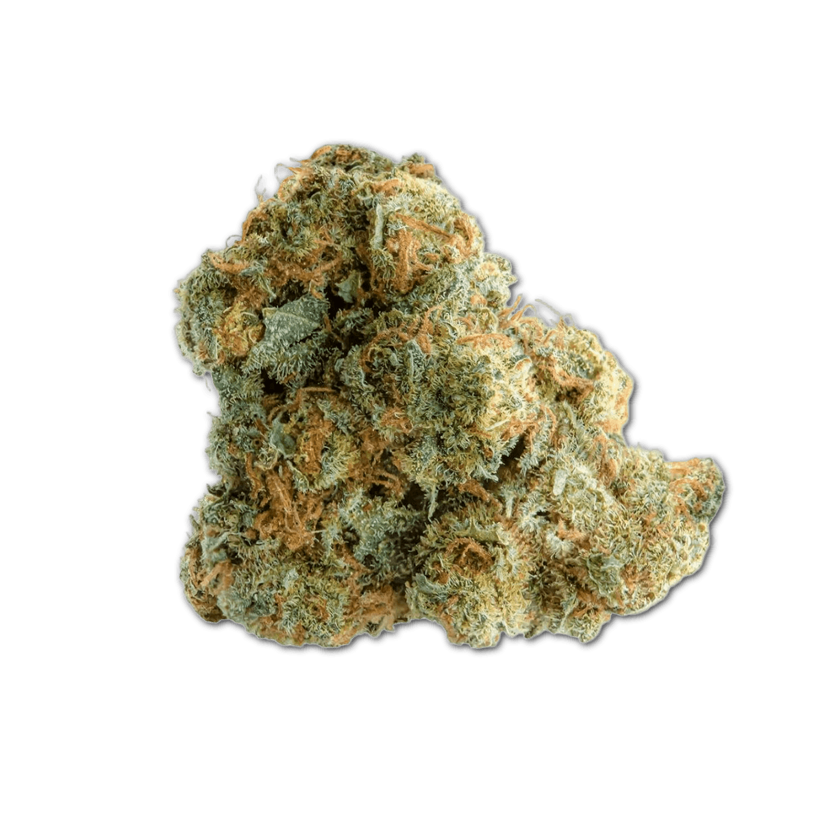 31/1 Amici AS Atomic Sour Grapefruit