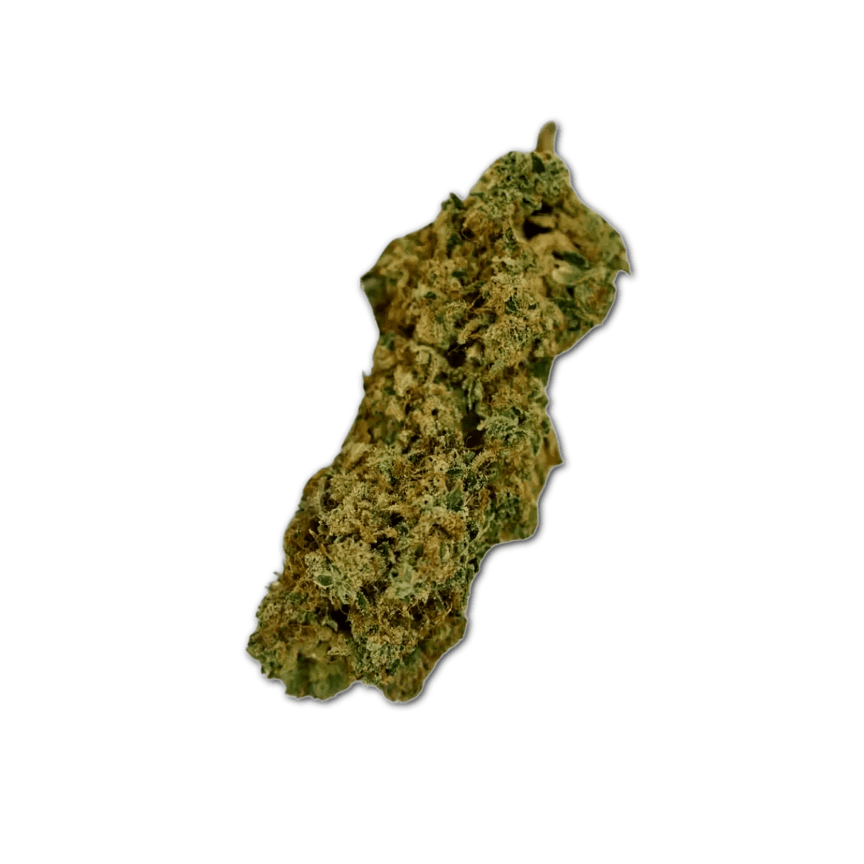 aleph Matterhorn 26/1