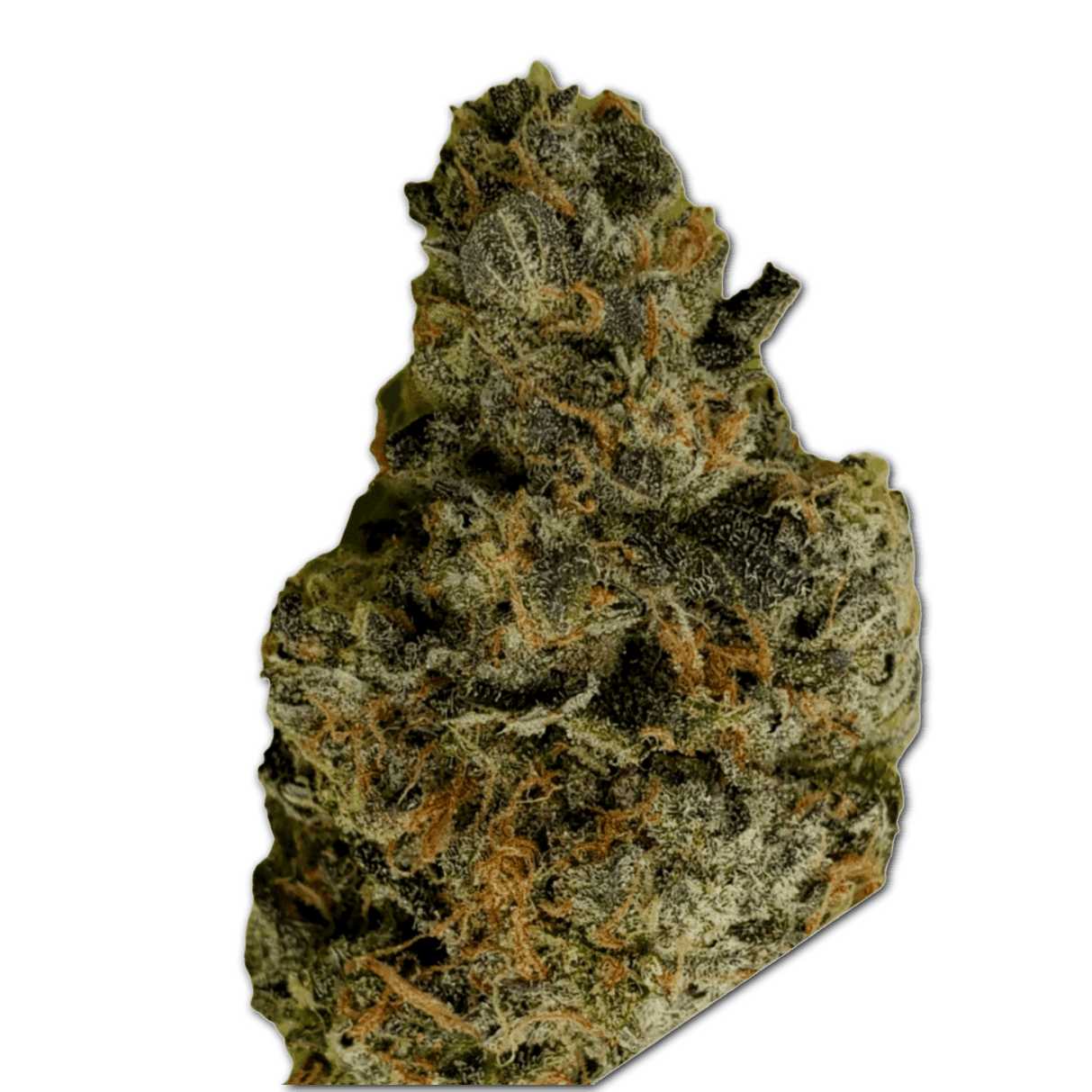 Mother 26 B8 CAN Beta 808