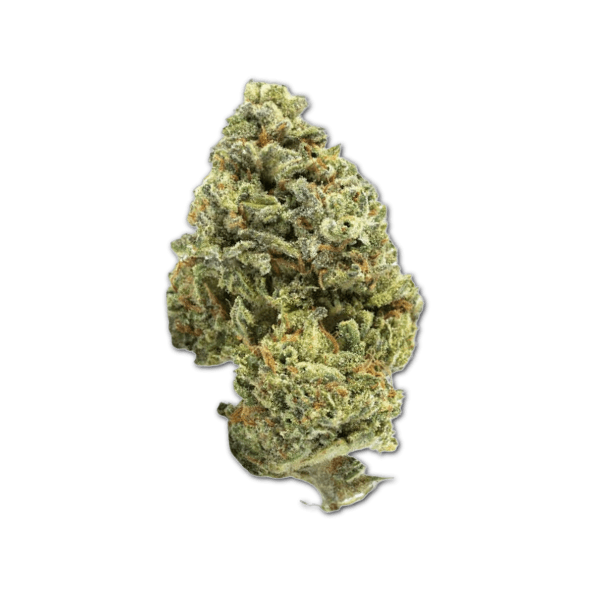 Canify Cannabis flos 22/1 BB