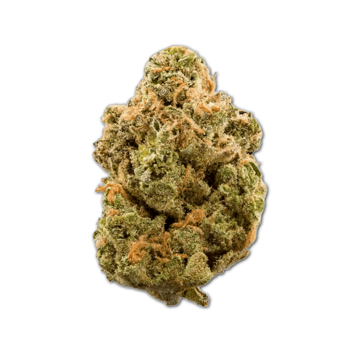 Tilray THC22 Spotlight Porto Biscuit Rntz I