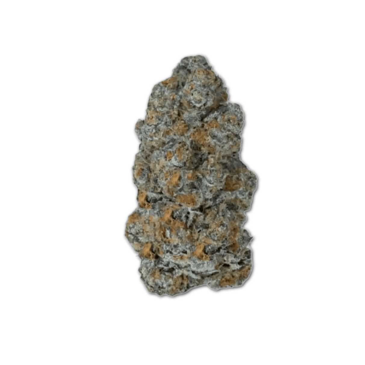 Demecan Craft Magister 26/1 BM Black Marker