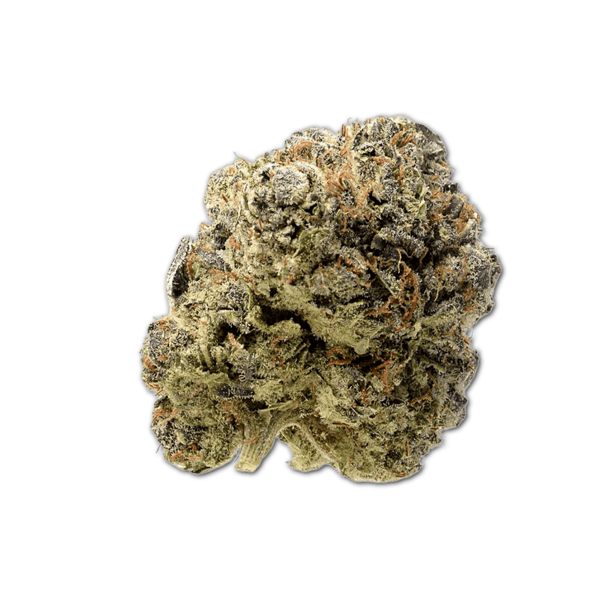 MGF Blue Monkey 26/1