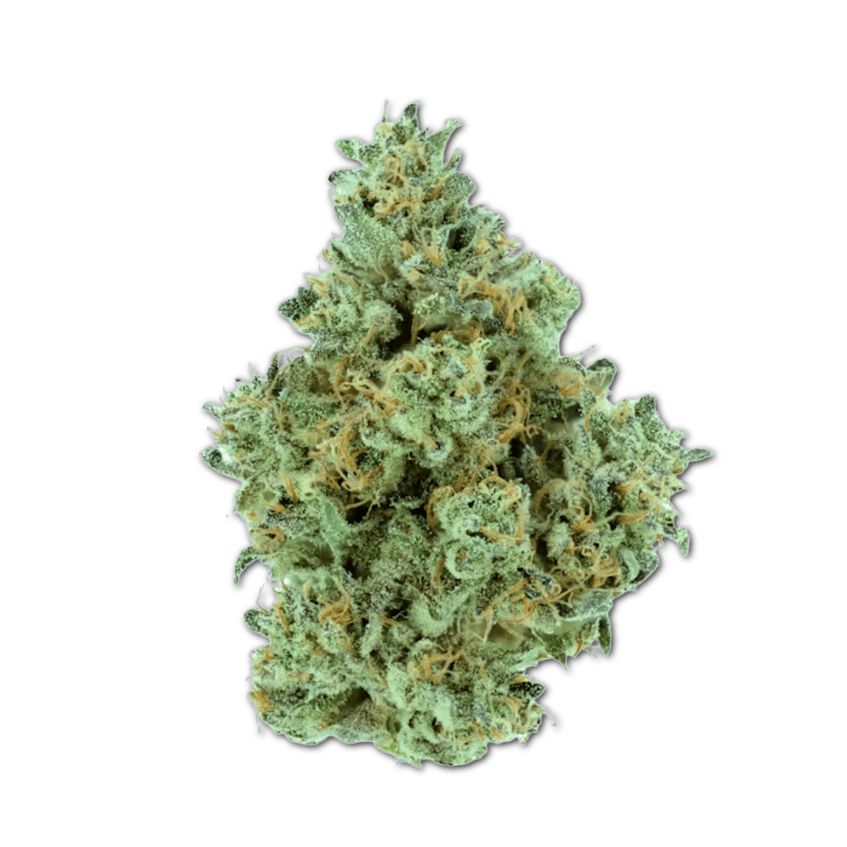 CNBS BLRZ 23/1 Blue Ritz