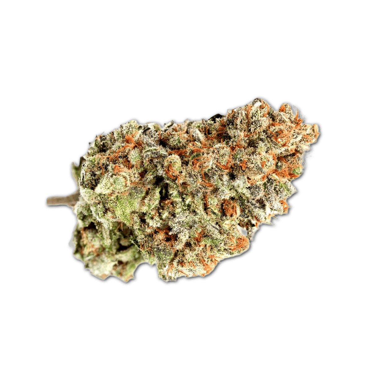 Tilray THC 15 Spotlight Porto Blueberry