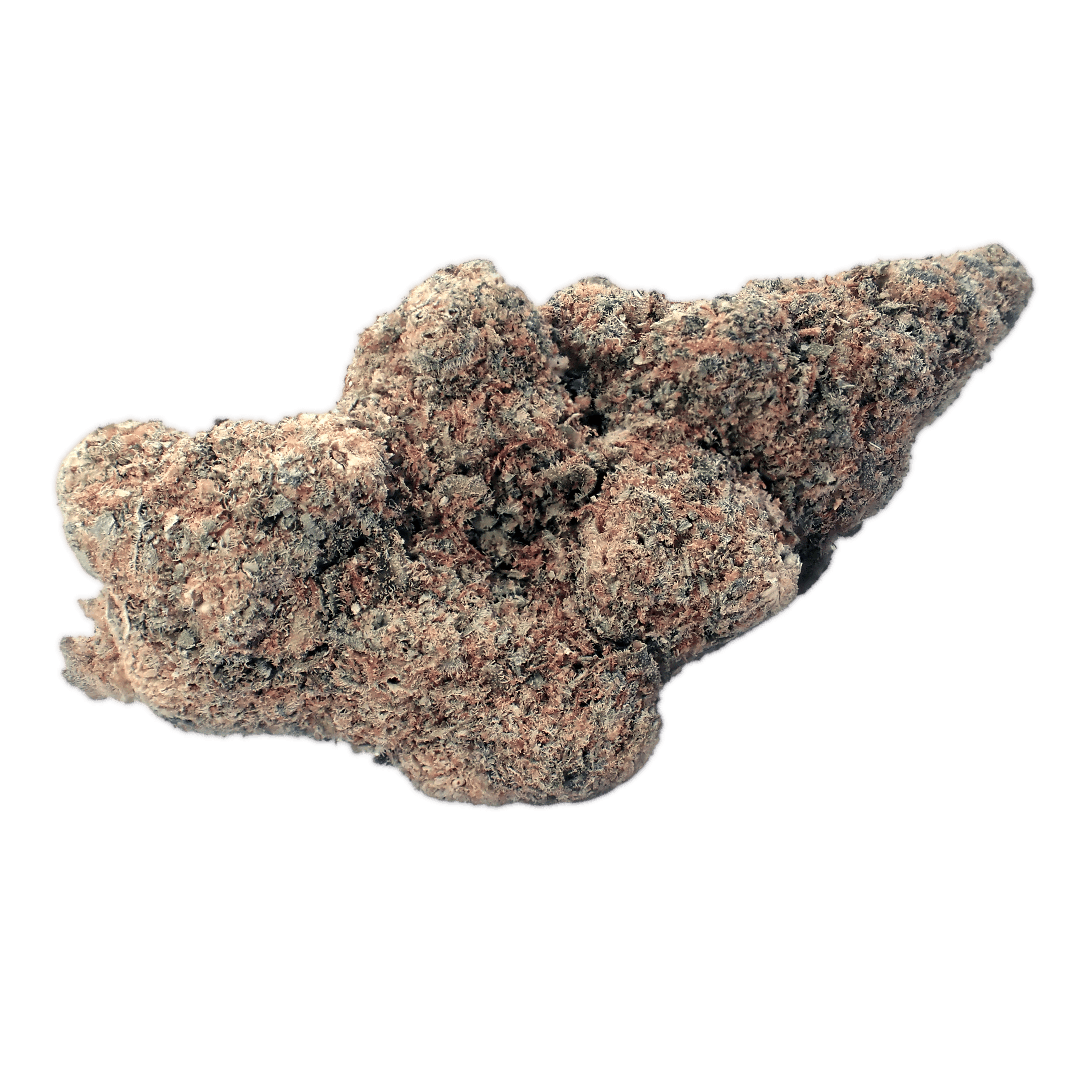 MC Regular Drop GMO x Jet Fuel Gelato