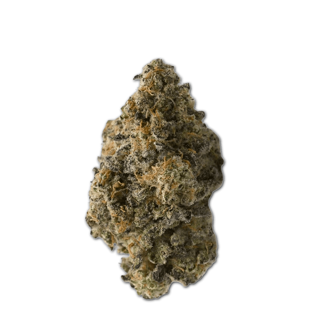 Tilray Craft Cannabisblüten THC28 CTB Cactus Breath