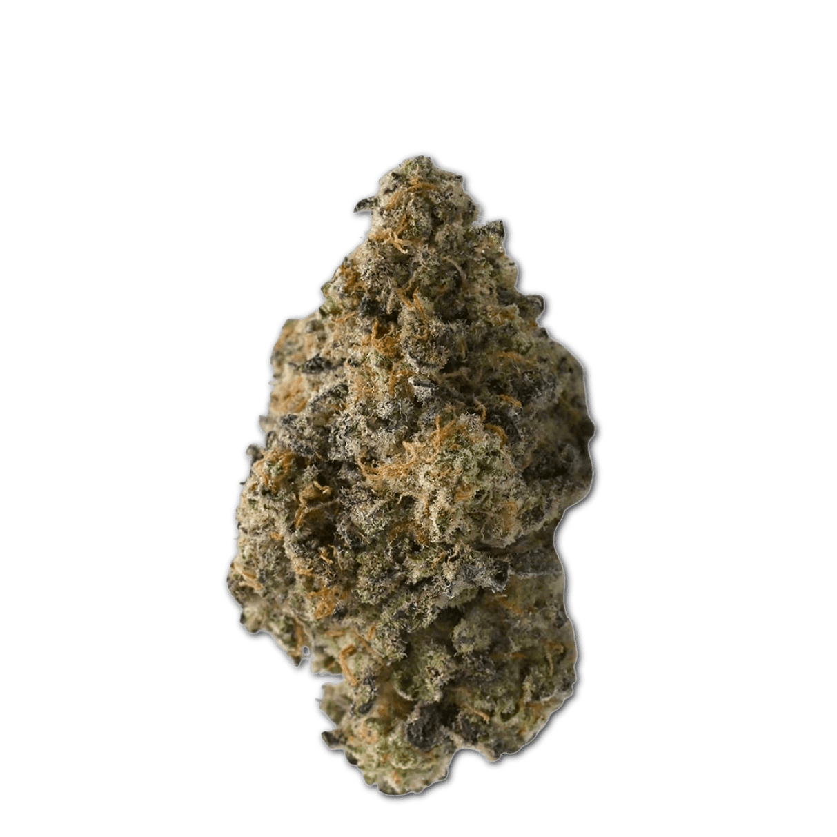 Tilray Craft Cannabisblüten THC28 CTB Cactus Breath