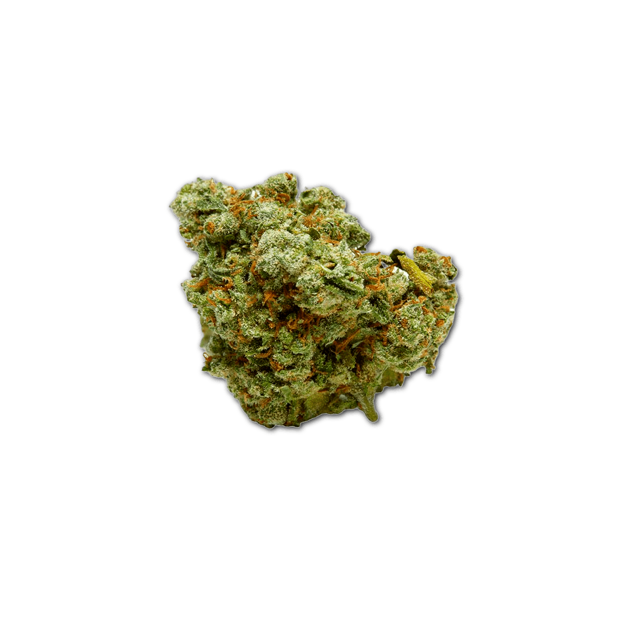 Cannamedical Balanced Forte 10/10 California Orange