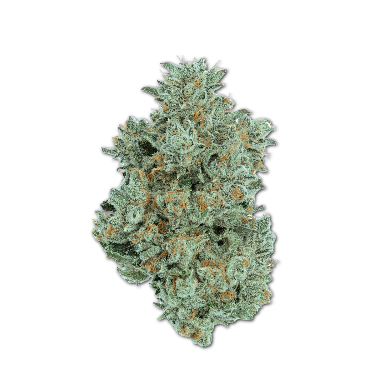 Remexian 24/1 JPM CFZ Candy Fumez