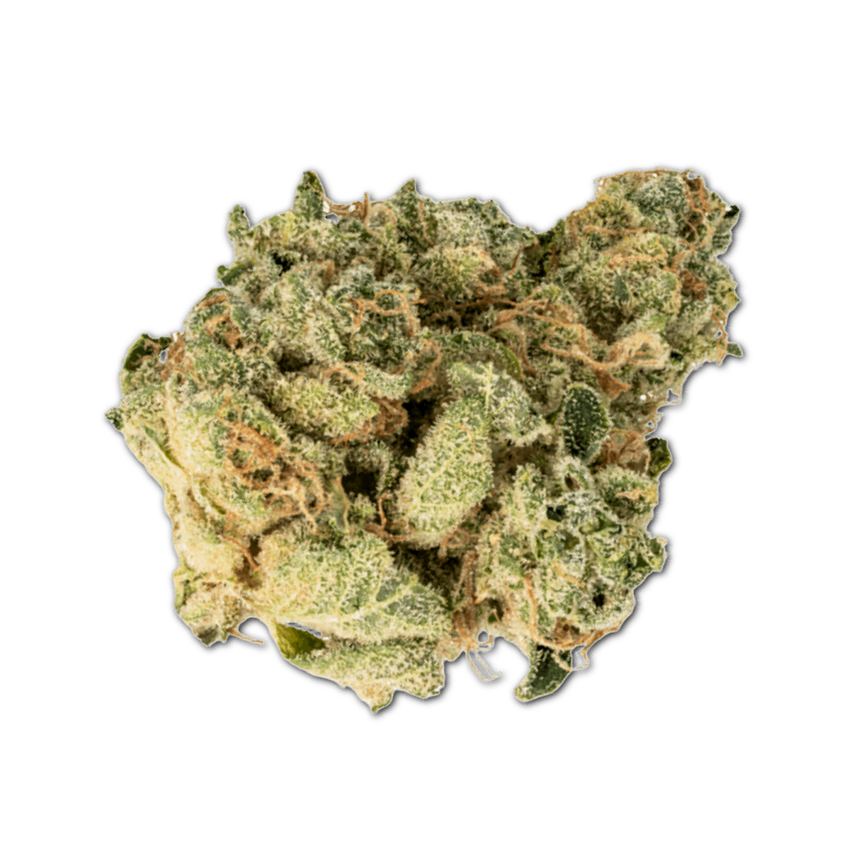 avaay Simple 23/1 CHM Chem OG