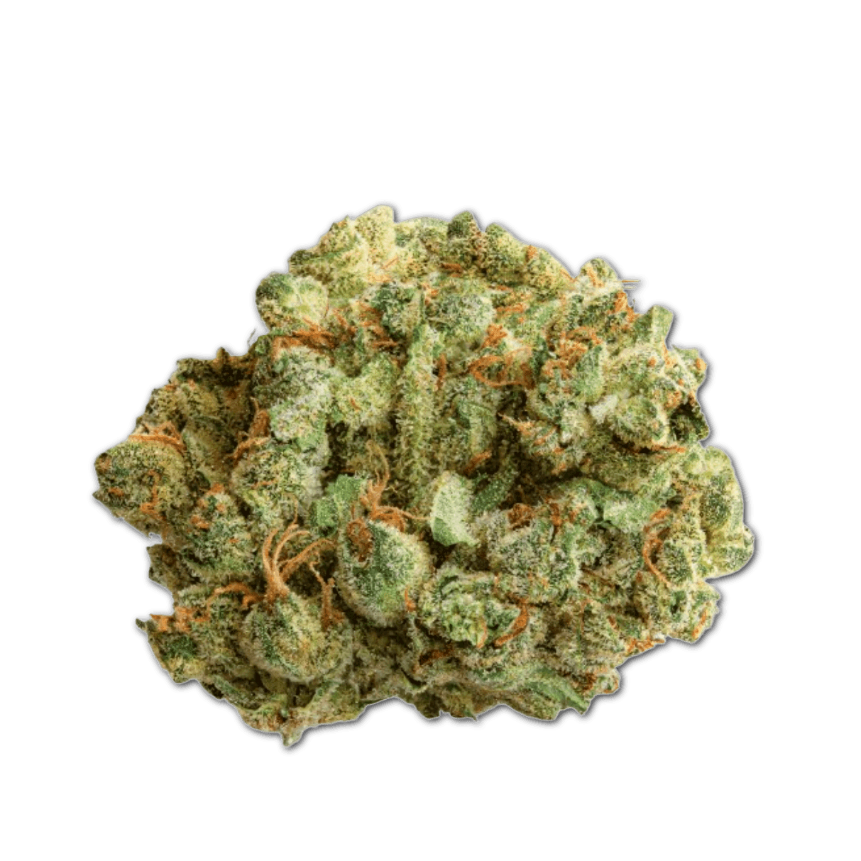 27/1 NICE CB Cocoa Bomba