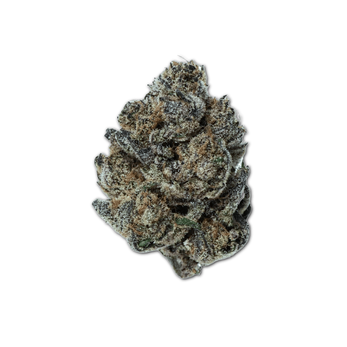 Remexian 24/1 MCS CGR Cool Grapes