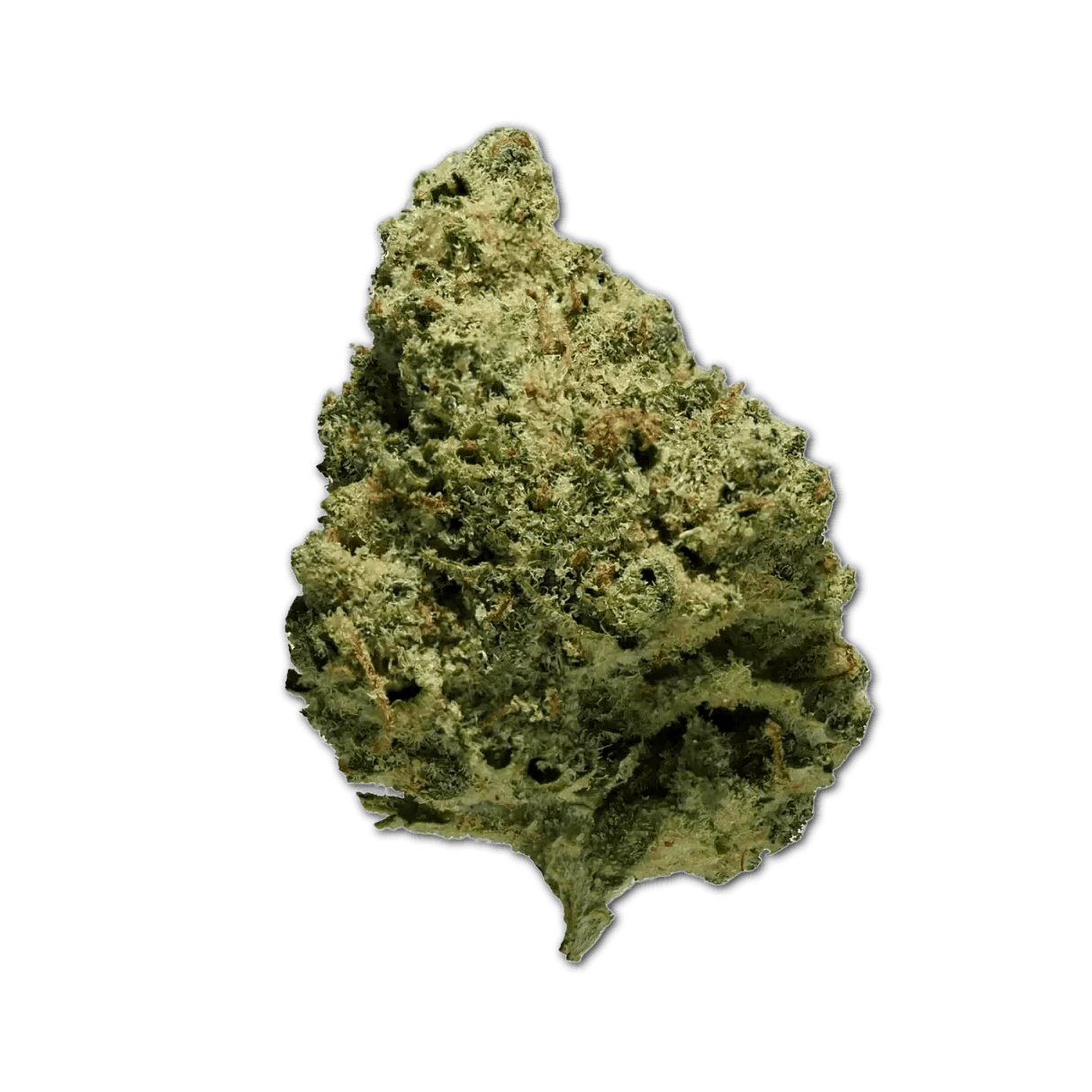 avaay 24/1 Simple CRE Creamy Kee's