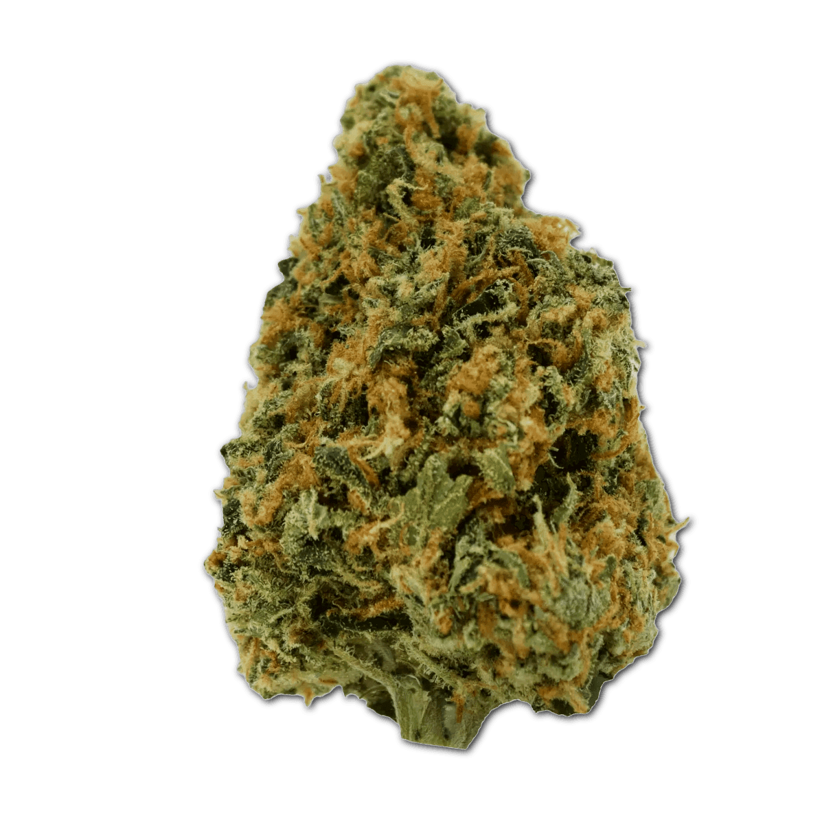 avaay 20/1 CK Critical Kush