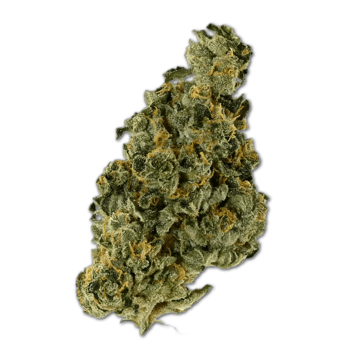 Demecan Core Saxonia 28:01 Wedding Cake x Jet Fuel Gelato