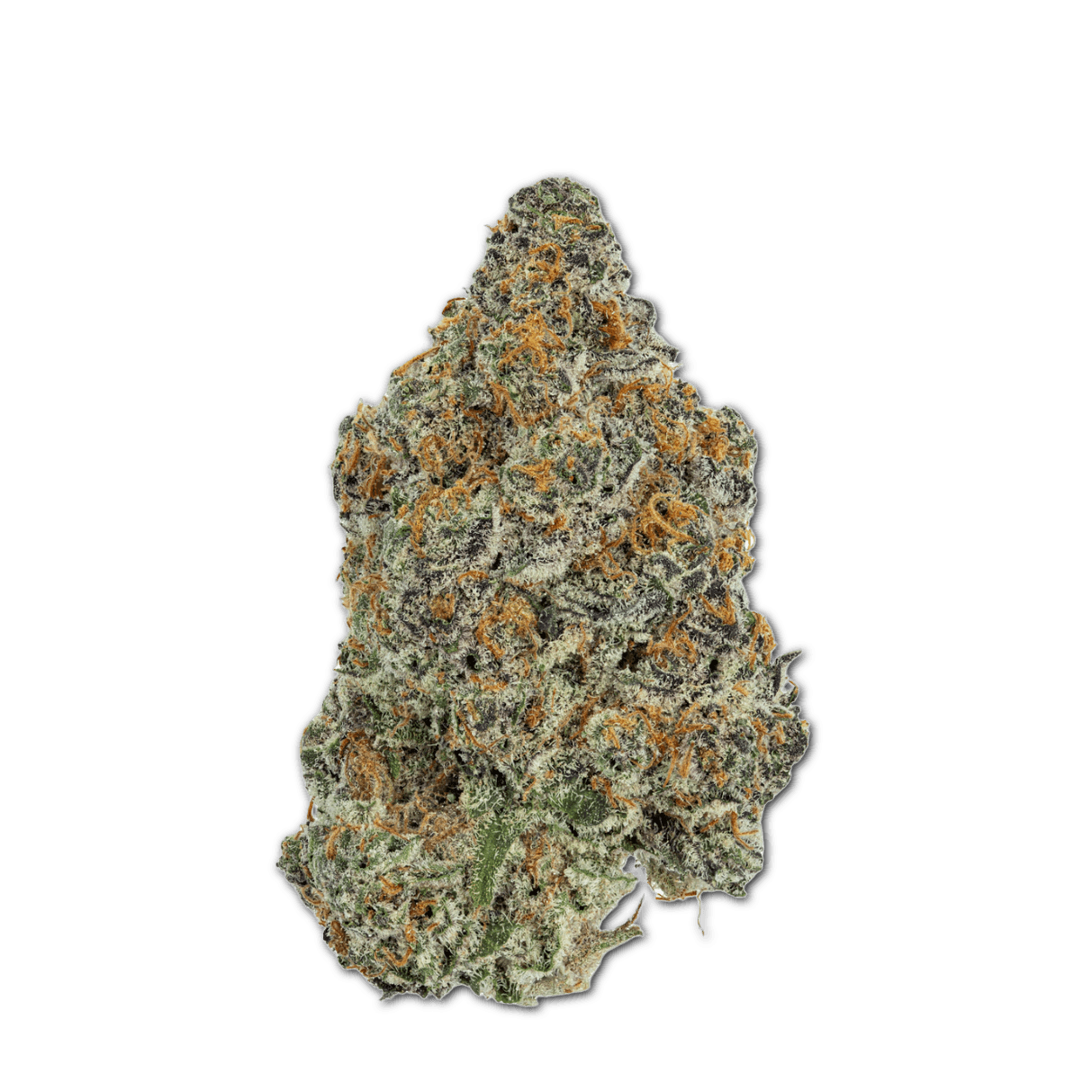 Cannabis flos 25/1 CL Ku. Dosi Bow