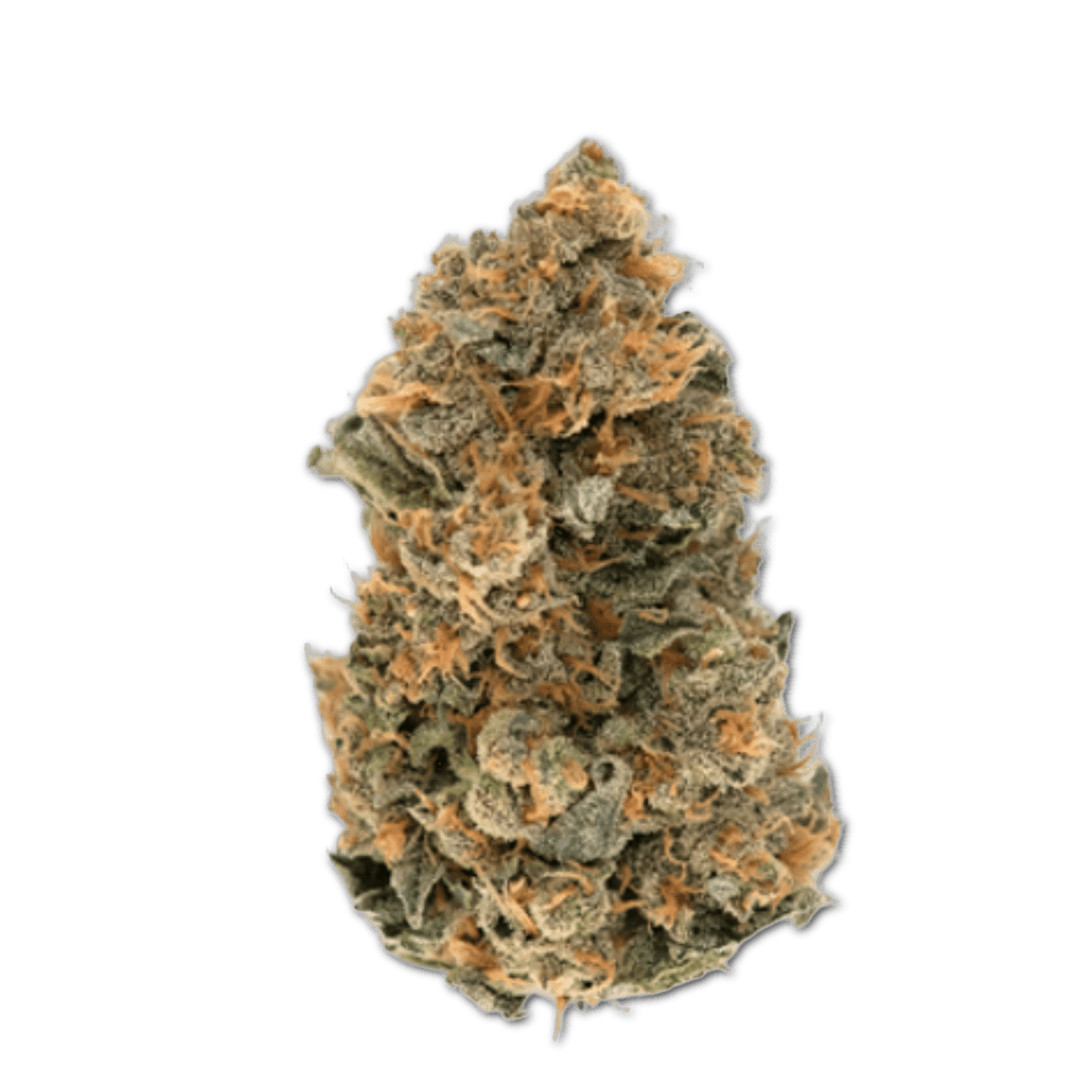 GROW 27 DC Dosi Cookies