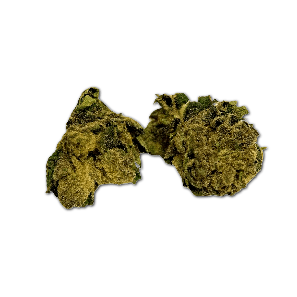 Cannamedical Sunshine Coast