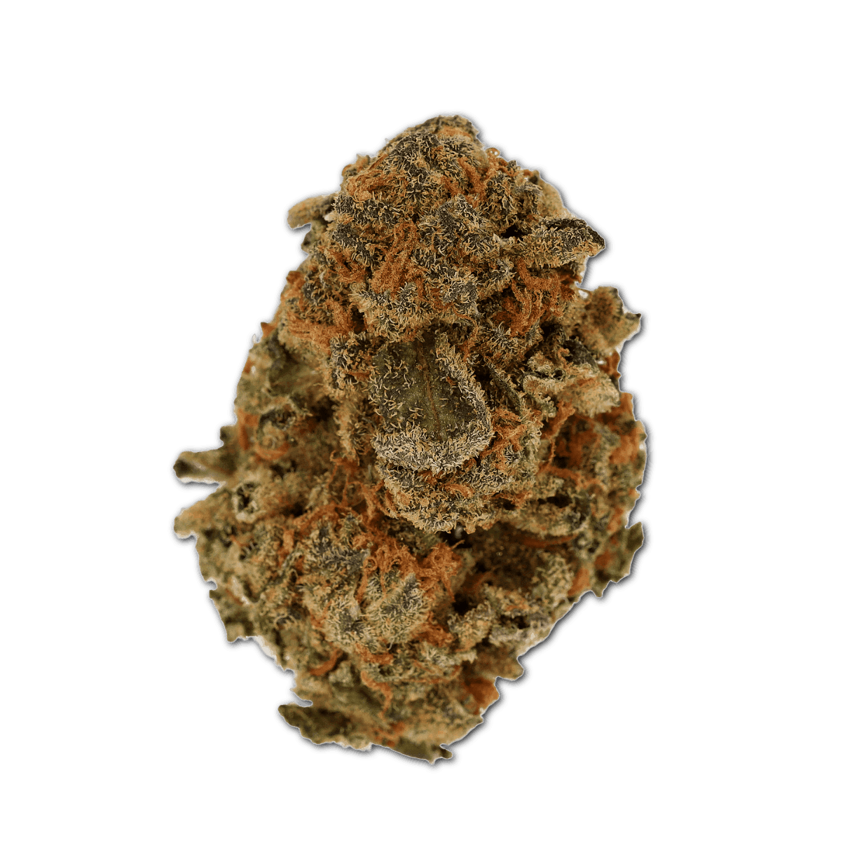 Cannamedical Sativa Light Fast Orange