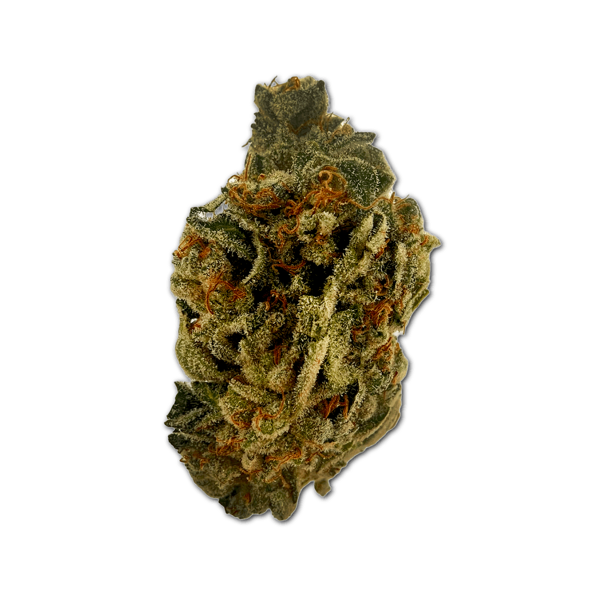 Sibanax GMO Zkittlez 21/1