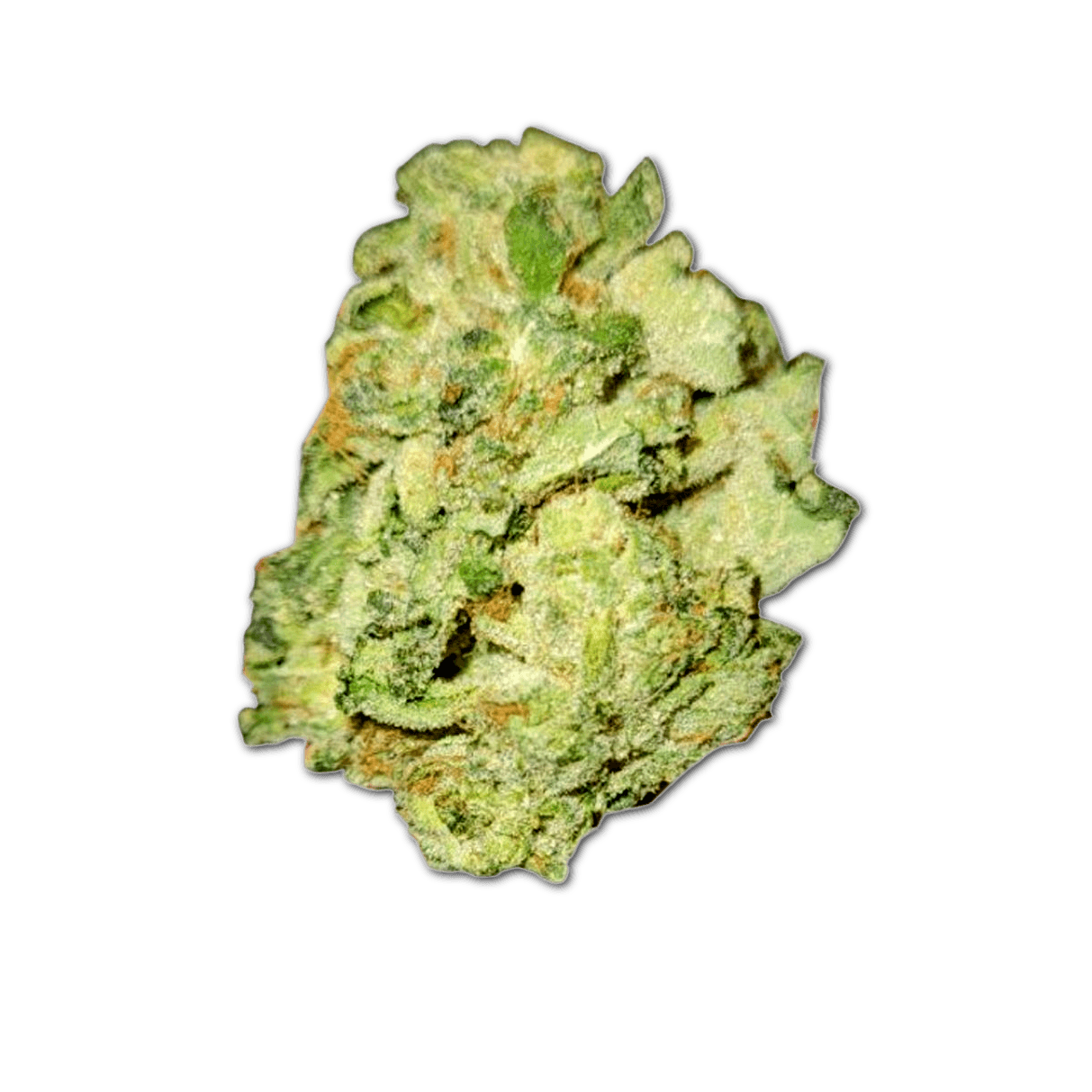 TILRAY THC25 Hybrid No.4 Galaxy Walker