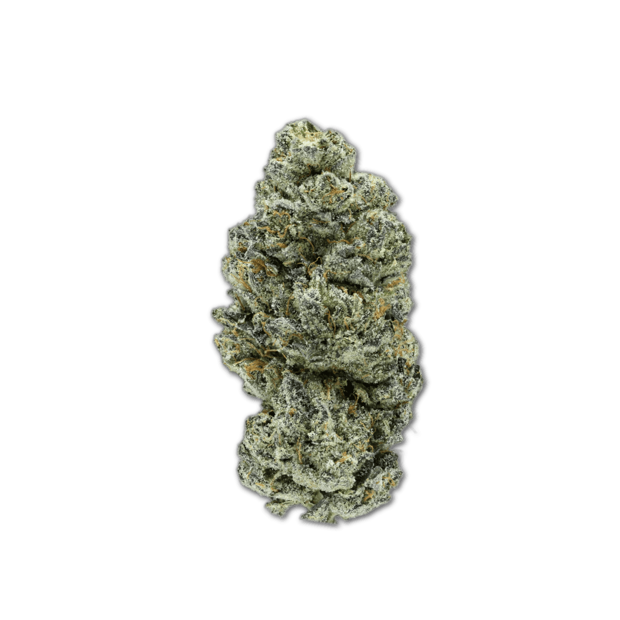 madrecan 24/1 GB9 Garlic Budder