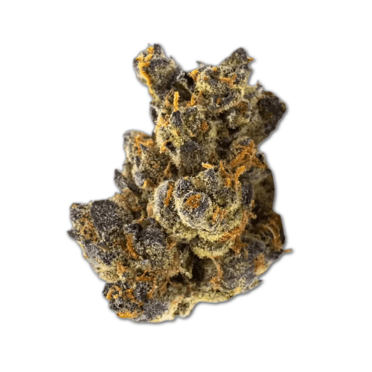 J.R. Strain GP SMALLS 25/1