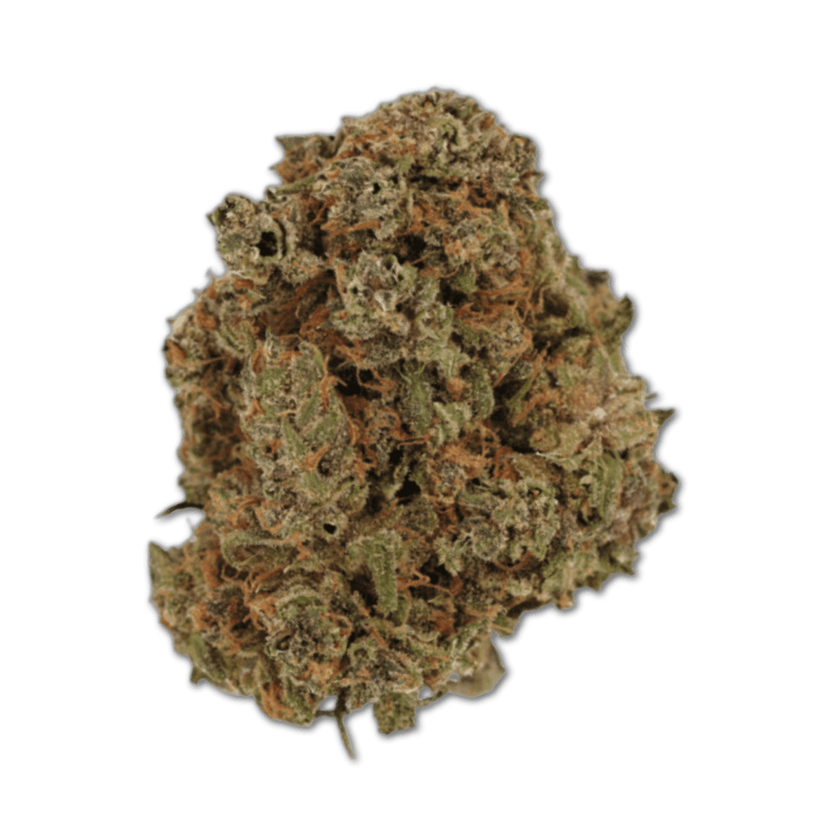 Cannamedical Indica Classic DK 22/1 Gelat Skyfloater