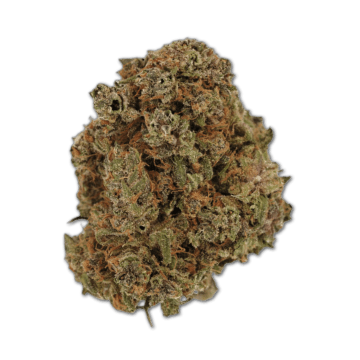 Cannamedical Indica Classic DK 22/1 Gelat Skyfloater