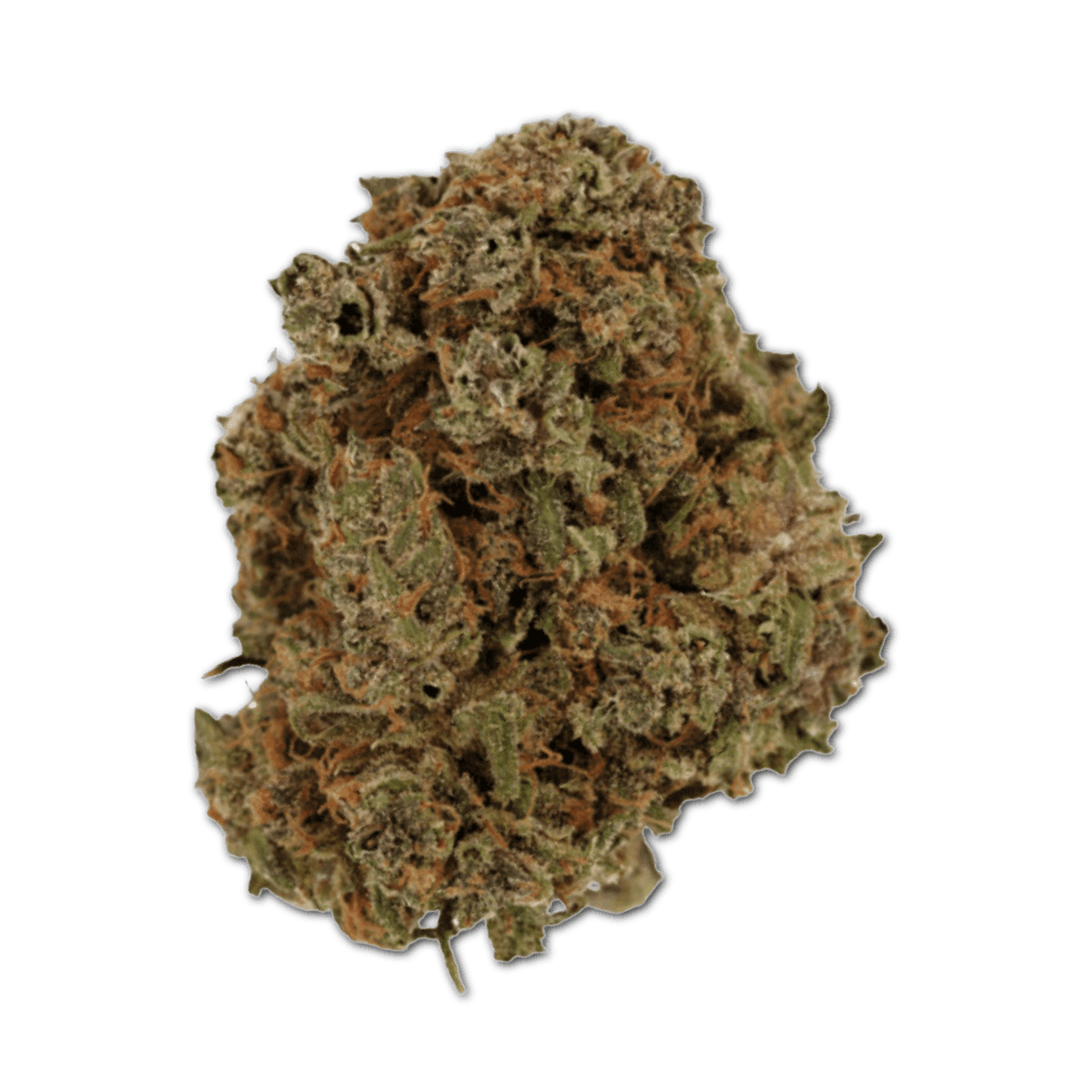 Cannamedical Indica Forte DK 22/1 Gelat Skyfloater