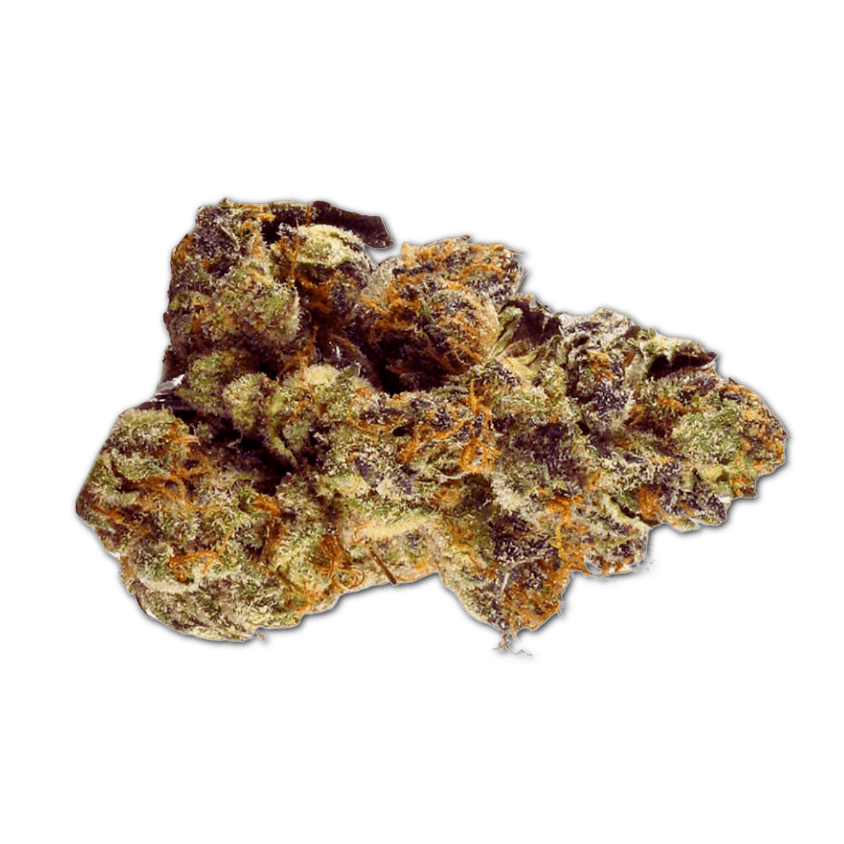 LOT 420 GLT Gelato33