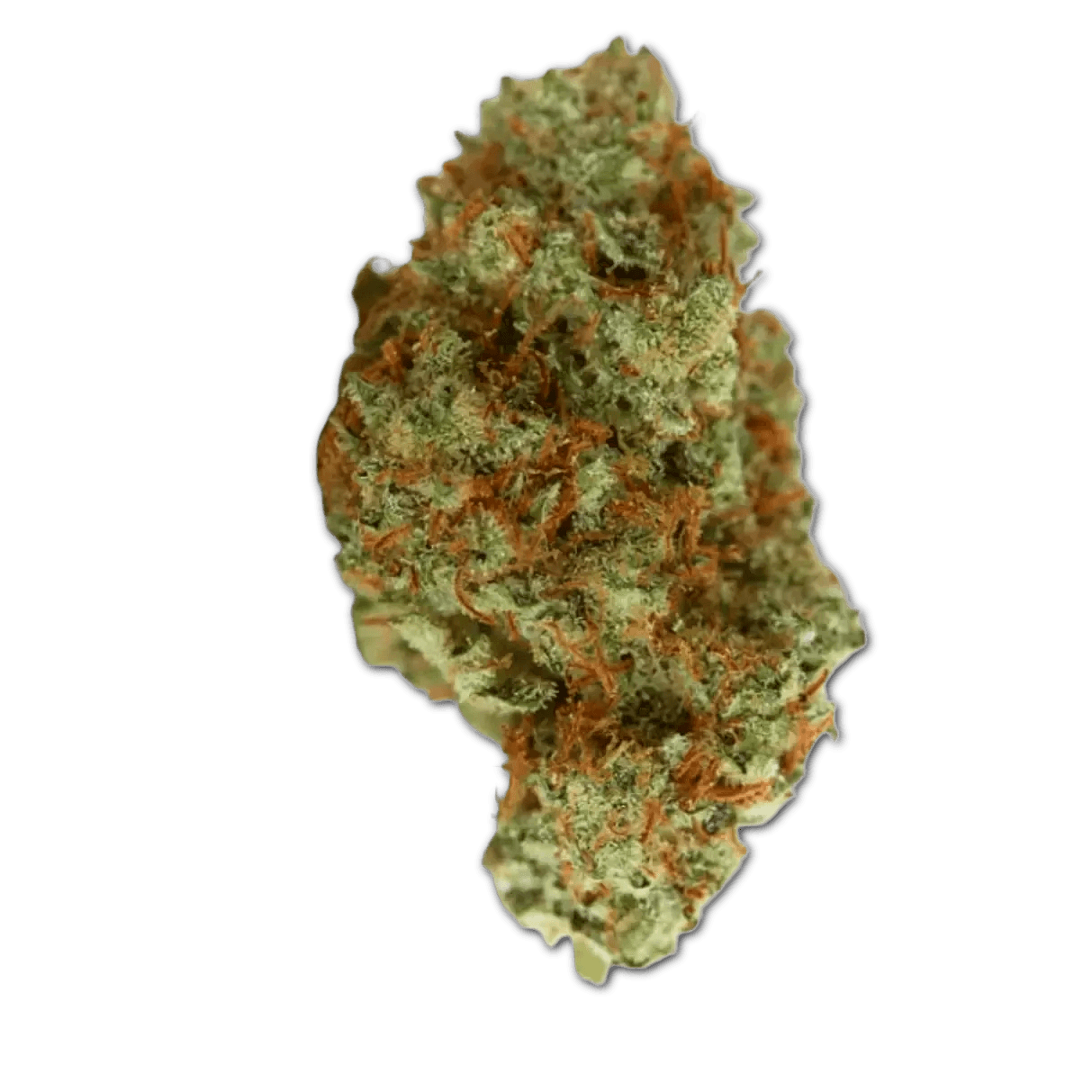 CherryCo 23/01 GOG-K Gelato OG