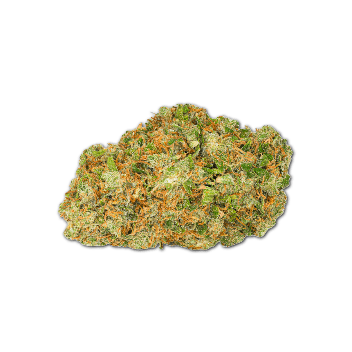 Pedanios 22/1 Ghost Train Haze