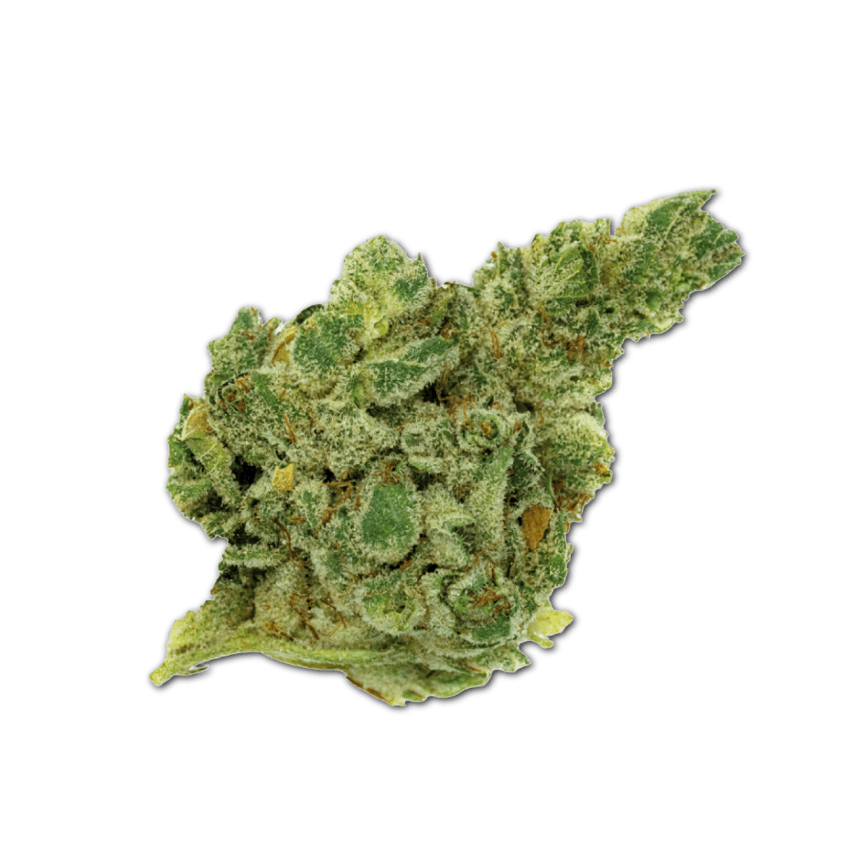 420 Natural 22/1 CA GG4 Gorilla Glue