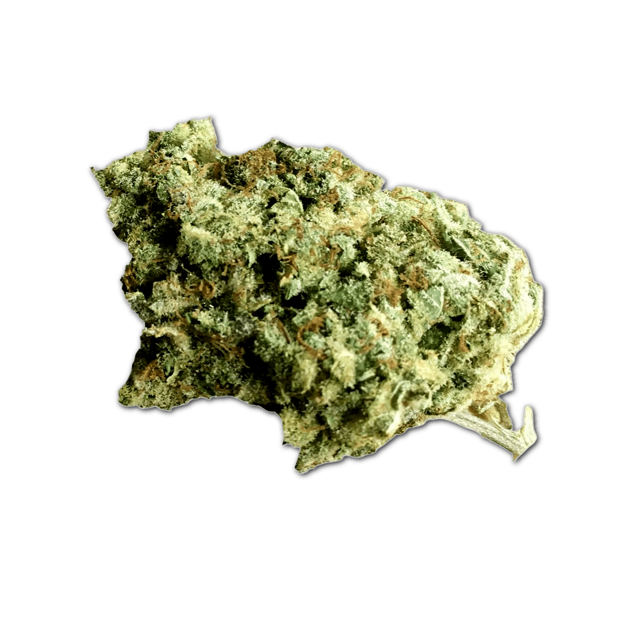 avaay 21/1 Gorilla Glue